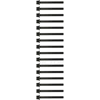 Reinz Zylinderkopfschraubensatz - M11, 120mm, Innensechskant - 14-55007-01 Reinz Zylinderkopfschraubensatz - M11, 120mm, Innensechskant - 14-55007-01