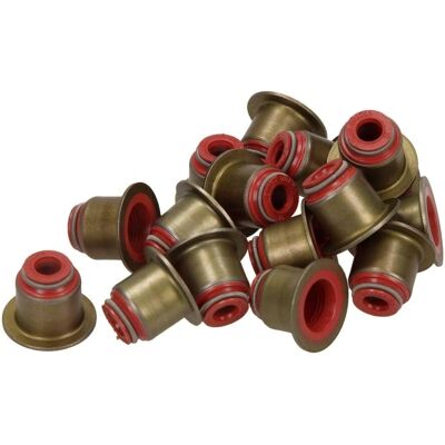 REINZ 12-36587-01 Valve Stem Seal Kit - Compatible with Peugeot, Citroën, Ford REINZ 12-36587-01 Valve Stem Seal Kit - Compatible with Peugeot, Citroën, Ford