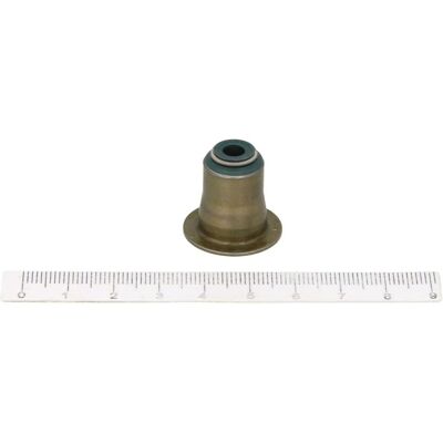 REINZ 12-37256-01 Ventilschaftdichtungsset - Valve stem seal set REINZ 12-37256-01 Ventilschaftdichtungsset - Valve stem seal set