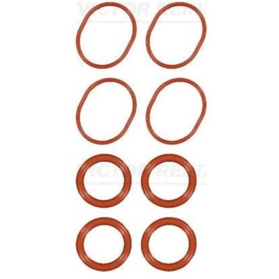 REINZ 11-38553-01 Jeu de joints pour collecteur d'admission - Jeu de joints REINZ 11-38553-01 Jeu de joints pour collecteur d'admission - Jeu de joints