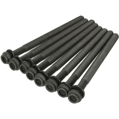 REINZ Zylinderkopfbolzen-Kit - Motorbefestigungen REINZ Zylinderkopfbolzen-Kit - Motorbefestigungen