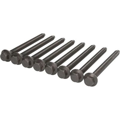 REINZ Cylinder Head Bolt Kit - 14-32344-01 REINZ Cylinder Head Bolt Kit - 14-32344-01