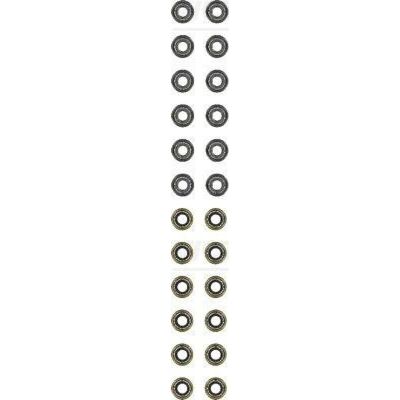 REINZ Model 125280604 Valve Stem Seal Set - Valve Stem Seal Set for Toyota and Lexus REINZ Model 125280604 Valve Stem Seal Set - Valve Stem Seal Set for Toyota and Lexus