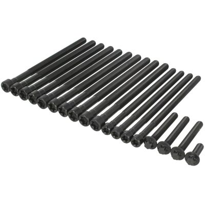 Kit de parafusos REINZ - Cabeça Torx Interna - Kit para Cabeça de Cilindro Kit de parafusos REINZ - Cabeça Torx Interna - Kit para Cabeça de Cilindro