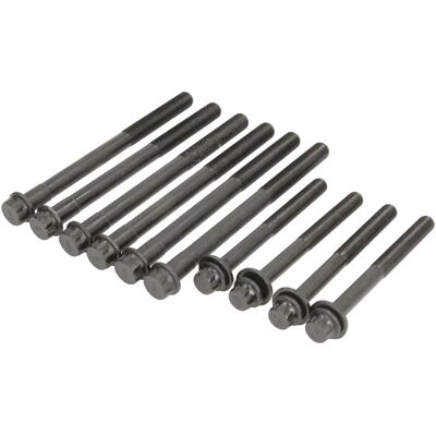 REINZ 14-13344-01 Toyota Land Cruiser Prado 150 Cylinder Head Bolt Set REINZ 14-13344-01 Toyota Land Cruiser Prado 150 Cylinder Head Bolt Set