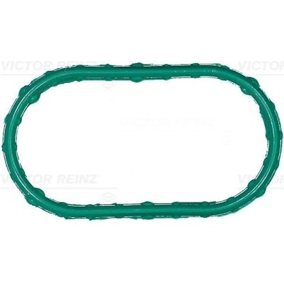 REINZ Jaguar imusarjatiiviste - FPM 8,2mm REINZ Jaguar imusarjatiiviste - FPM 8,2mm