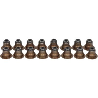 REINZ 12-19255-01 Valve Stem Seal Kit - For KIA Sportage IV REINZ 12-19255-01 Valve Stem Seal Kit - For KIA Sportage IV
