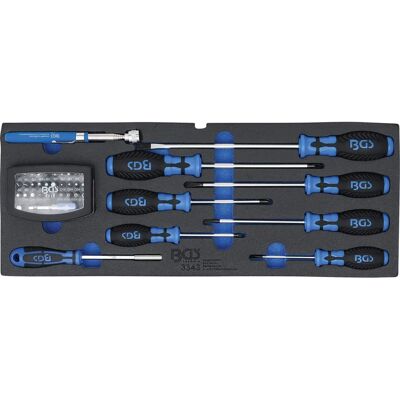 BGS TECHNIC Tool Organizer with Foam Insert - Screwdrivers, Bits, Magnetic Pickup BGS TECHNIC Tool Organizer with Foam Insert - Screwdrivers, Bits, Magnetic Pickup