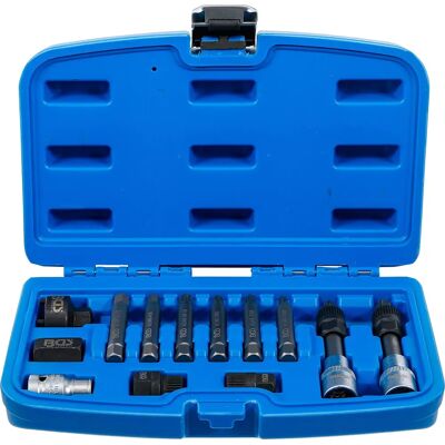 BGS technic Generator Tool Kit - Multi-Tooth Pulley, T-Profile Bits, M8 M10 Bits BGS technic Generator Tool Kit - Multi-Tooth Pulley, T-Profile Bits, M8 M10 Bits