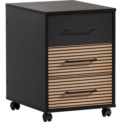 SCHILDMEYER Hank Aufbewahrungscontainer - Made in Germany, 40cm breit, schwarz SCHILDMEYER Hank Aufbewahrungscontainer - Made in Germany, 40cm breit, schwarz