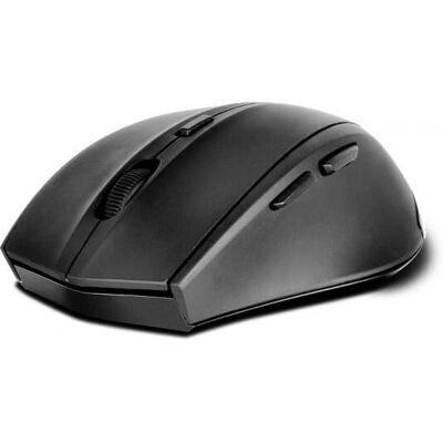 Mouse ótico sem fio Speedlink Rato - Destro - 1600 DPI Mouse ótico sem fio Speedlink Rato - Destro - 1600 DPI