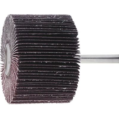 Lukas - Schleifmittel Fächerschleifer 50x15mm Normalkorund 120 Schaft 6mm - 50x15mm - 120 - Schleifzubehör Lukas - Schleifmittel Fächerschleifer 50x15mm Normalkorund 120 Schaft 6mm - 50x15mm - 120 - Schleifzubehör