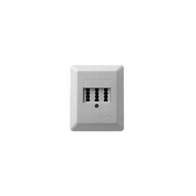 Scatola di uscita ZE Kommunikationstechnik TAE 3x6 NFN AP - Outlet Box Scatola di uscita ZE Kommunikationstechnik TAE 3x6 NFN AP - Outlet Box