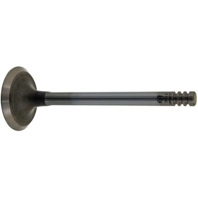 FEBI BILSTEIN 21030 Indsugningsventil - Indsugningsventil FEBI BILSTEIN 21030 Indsugningsventil - Indsugningsventil