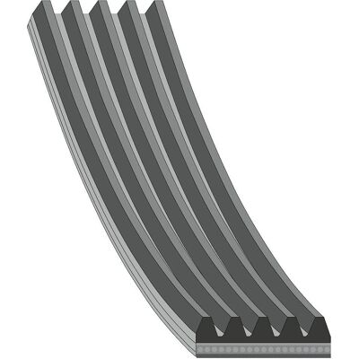 FEBI BILSTEIN Model 28873 - V-ribbed belt FEBI BILSTEIN Model 28873 - V-ribbed belt