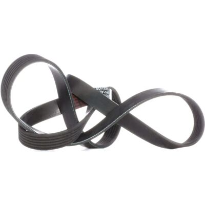 Febi Bilstein V-ribbeband - 1420mm, EPDM, 6 ribbor - Bilunderhåll Febi Bilstein V-ribbeband - 1420mm, EPDM, 6 ribbor - Bilunderhåll