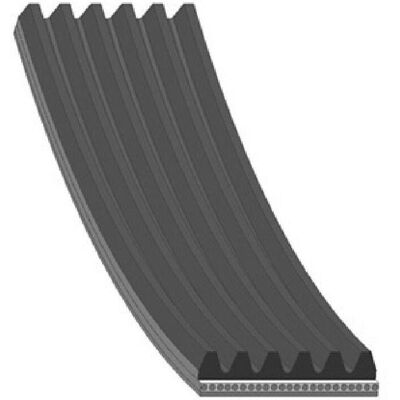 Febi Bilstein Poly-V Bælte - 1437 mm, 6 ribber, EPDM Febi Bilstein Poly-V Bælte - 1437 mm, 6 ribber, EPDM