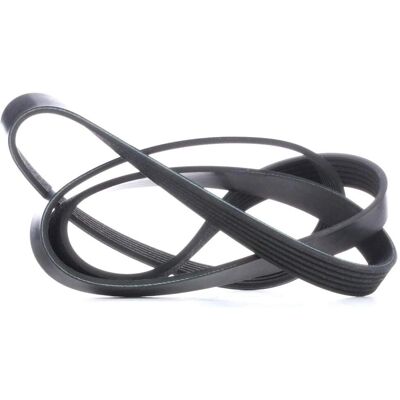 Febi Bilstein Serpentine Belt - 1560mm, 6 ribs, BMW, Citroën Febi Bilstein Serpentine Belt - 1560mm, 6 ribs, BMW, Citroën
