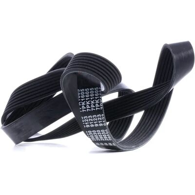 FEBI BILSTEIN Model 29030 - V-ribbed belt FEBI BILSTEIN Model 29030 - V-ribbed belt