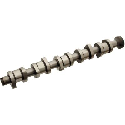 FEBI BILSTEIN 070109101p Catena di distribuzione per VW Transporter, Multivan, Touareg FEBI BILSTEIN 070109101p Catena di distribuzione per VW Transporter, Multivan, Touareg