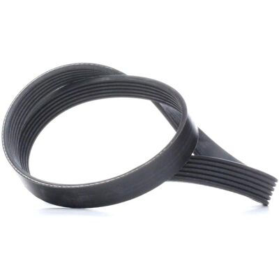 FEBI BILSTEIN Model 39785 V-ribbed belt FEBI BILSTEIN Model 39785 V-ribbed belt