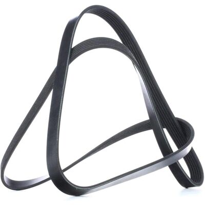 FEBI BILSTEIN V-ribbed belt 39793 FEBI BILSTEIN V-ribbed belt 39793
