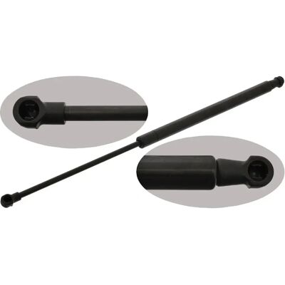 Gaz cilindru FEBI BILSTEIN 40906 pentru hayon Gaz cilindru FEBI BILSTEIN 40906 pentru hayon