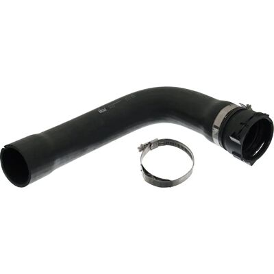 FEBI BILSTEIN 49124 Jäähdyttimen letku - Jäähdyttimen letku FEBI BILSTEIN 49124 Jäähdyttimen letku - Jäähdyttimen letku
