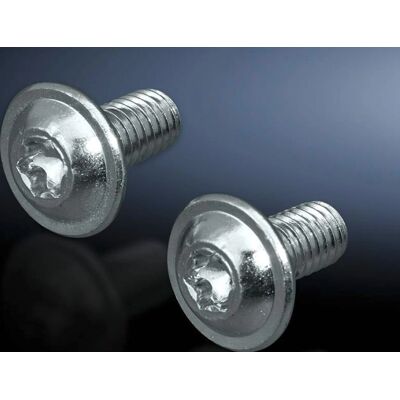 Rittal SZ 2504.800 - Vis M8 - 12mm - Argent - 300 pcs Rittal SZ 2504.800 - Vis M8 - 12mm - Argent - 300 pcs