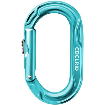 Edelrid Kiwi Slider - Lätt ovalkarbin - Icemint - One Size Edelrid Kiwi Slider - Lätt ovalkarbin - Icemint - One Size