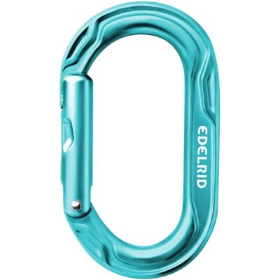 Edelrid Kiwi - Unisex - Icemint - One Size - Carabiner Edelrid Kiwi - Unisex - Icemint - One Size - Carabiner