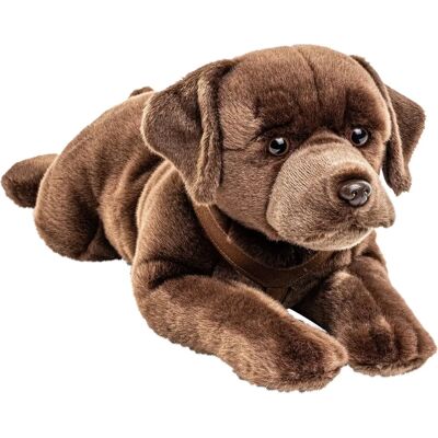 Uni-Toys - HT-30165 - Labrador marrone - 60 cm - Peluche Uni-Toys - HT-30165 - Labrador marrone - 60 cm - Peluche