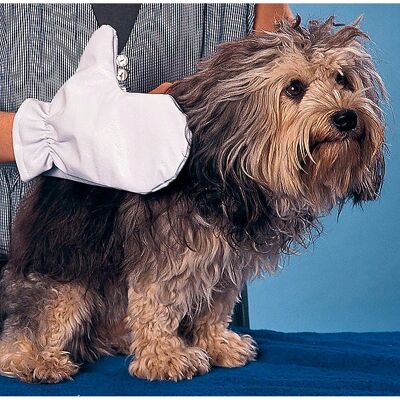 Trixie Fellpflege-Handschuh - Entfernt lose Haare, Staub & Zecken Trixie Fellpflege-Handschuh - Entfernt lose Haare, Staub & Zecken