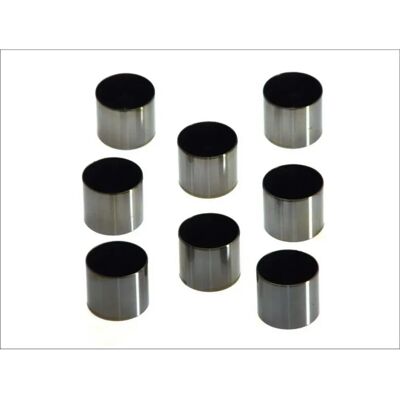 Idrostop Kolbenschmidt Dacia Opel Renault GM Idrostop Kolbenschmidt Dacia Opel Renault GM