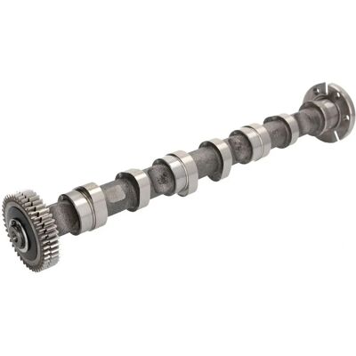 Arbre à cames Kolbenschmidt pour Audi A6 A4 VW Touareg - Arbre à cames Arbre à cames Kolbenschmidt pour Audi A6 A4 VW Touareg - Arbre à cames