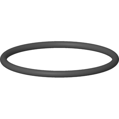 Dornbracht 09141004090 O-Ring - 31,0x2,0 mm Joint en caoutchouc - Publicité Dornbracht 09141004090 O-Ring - 31,0x2,0 mm Joint en caoutchouc - Publicité