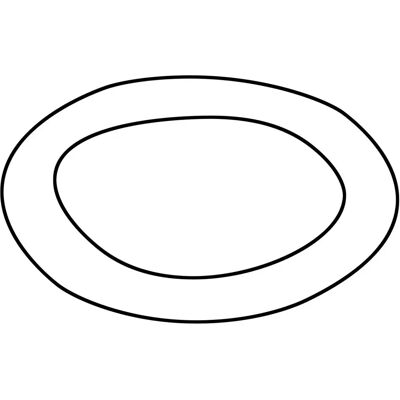 Dornbracht 19,0x3,0mm O-Ring - Afdichting Dornbracht 19,0x3,0mm O-Ring - Afdichting