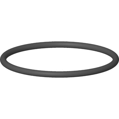 Dornbracht Model 09141013590 - Ring/O-ring - Duurzaam Materiaal Dornbracht Model 09141013590 - Ring/O-ring - Duurzaam Materiaal