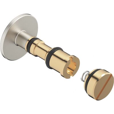 Dornbracht 12863970-06 Platin gebürstet Ersatzteile - Duschausätze Dornbracht 12863970-06 Platin gebürstet Ersatzteile - Duschausätze