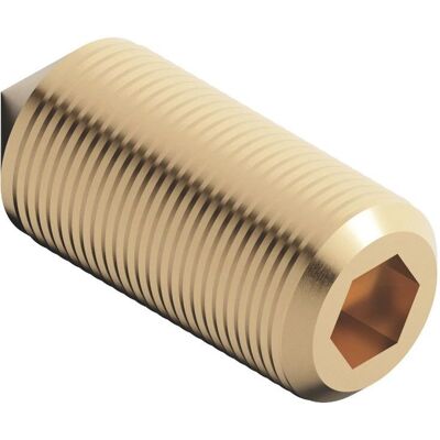 Dornbracht Model 0431111130090 Schroef voor bevestiging M5 x 12 mm - Schroef voor bevestiging Dornbracht Model 0431111130090 Schroef voor bevestiging M5 x 12 mm - Schroef voor bevestiging