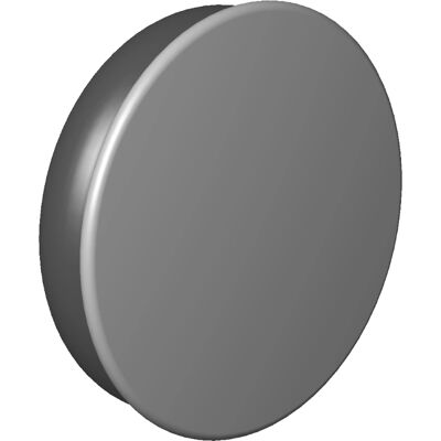 Dornbracht Dunkelplatine Abdeckung - Ersatz Ø 7 x 2,1 mm - Abdeckung Dornbracht Dunkelplatine Abdeckung - Ersatz Ø 7 x 2,1 mm - Abdeckung