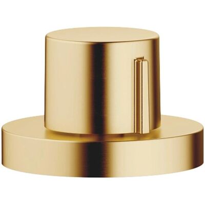 Dornbracht Attuatore excentrico - Modello 10710970-28 - Ottone spazzolato Dornbracht Attuatore excentrico - Modello 10710970-28 - Ottone spazzolato