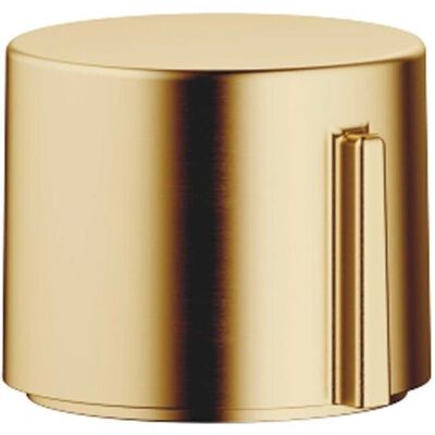 Dornbracht Actuador excéntrico - Control giratorio - Latón cepillado - Accesorio para lavabo Dornbracht Actuador excéntrico - Control giratorio - Latón cepillado - Accesorio para lavabo