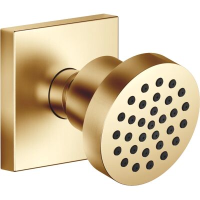 Dornbracht Marca Modello 28518782-28 Testa doccia in ottone spazzolato - Testa di doccia Dornbracht Marca Modello 28518782-28 Testa doccia in ottone spazzolato - Testa di doccia