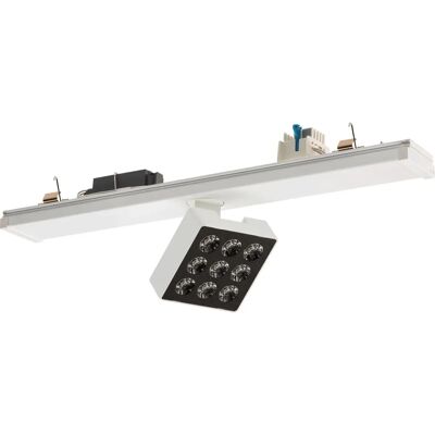 RIDI - VLMF-KARO-S2500-830F - LED-Strahlermodul RIDI - VLMF-KARO-S2500-830F - LED-Strahlermodul