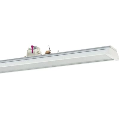 RIDI - VLGFS1501-7DAWS865MP0400 - 6500K RIDI - VLGFS1501-7DAWS865MP0400 - 6500K