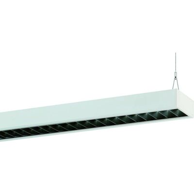 Ridi ABRBIRT2X115/20DASM - Deckenleuchte Ridi ABRBIRT2X115/20DASM - Deckenleuchte
