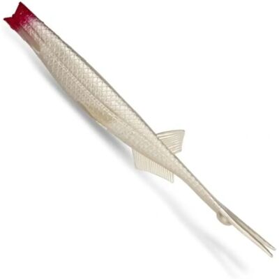 Black Cat - Cat Pelagic - cabeza roja - 27 cm - fishing lure Black Cat - Cat Pelagic - cabeza roja - 27 cm - fishing lure