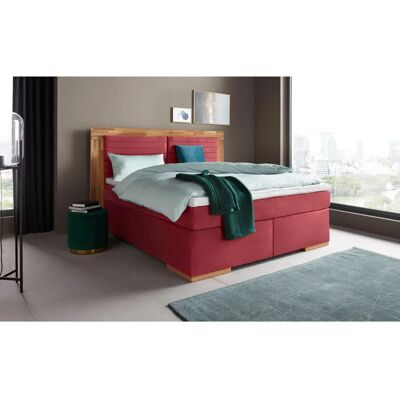 Places of Style Cup Boxspringbett - Microfaser, LED, 200x200cm Places of Style Cup Boxspringbett - Microfaser, LED, 200x200cm