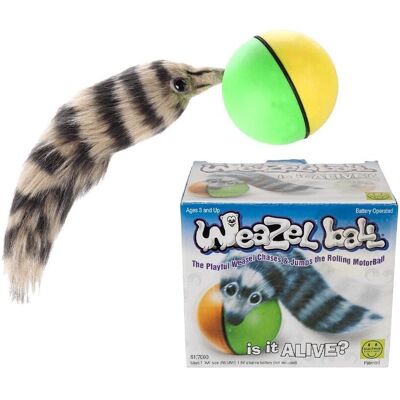 Haustier-Spielzeug - Motorisierte Kugel mit Otter Haustier-Spielzeug - Motorisierte Kugel mit Otter